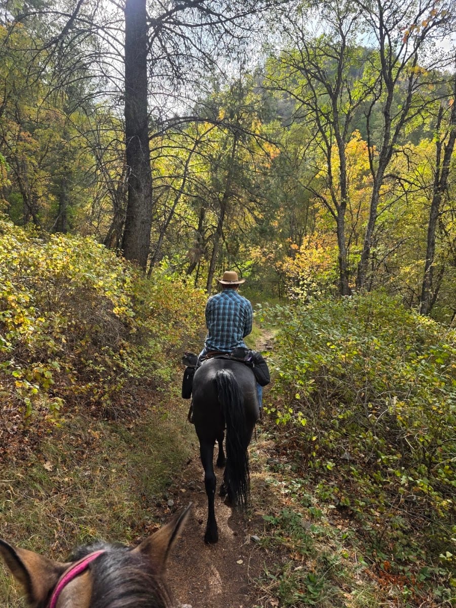 Leatham Hollow, photo 2
