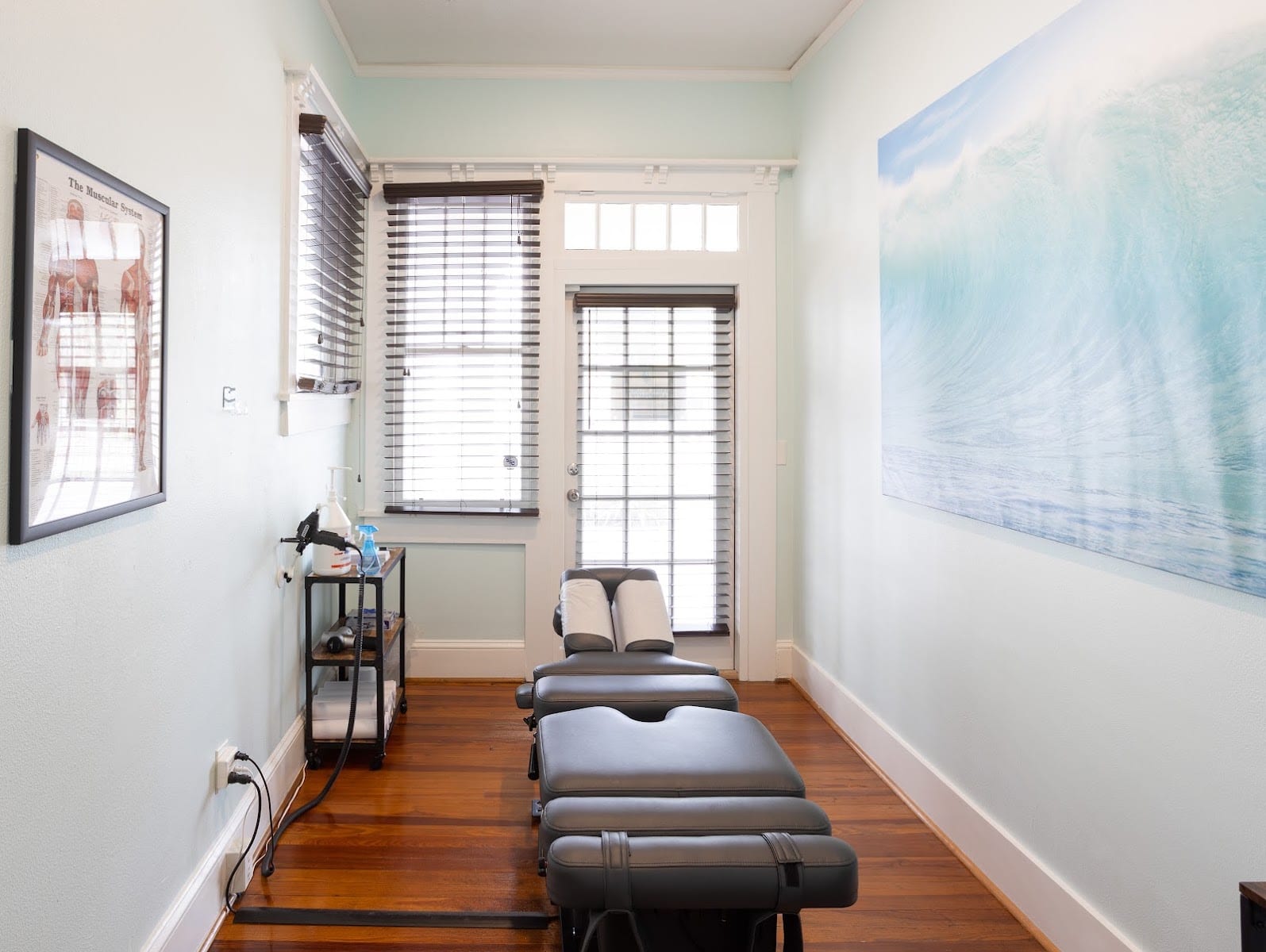 Dynamic Wellness & Chiropractic, photo 2