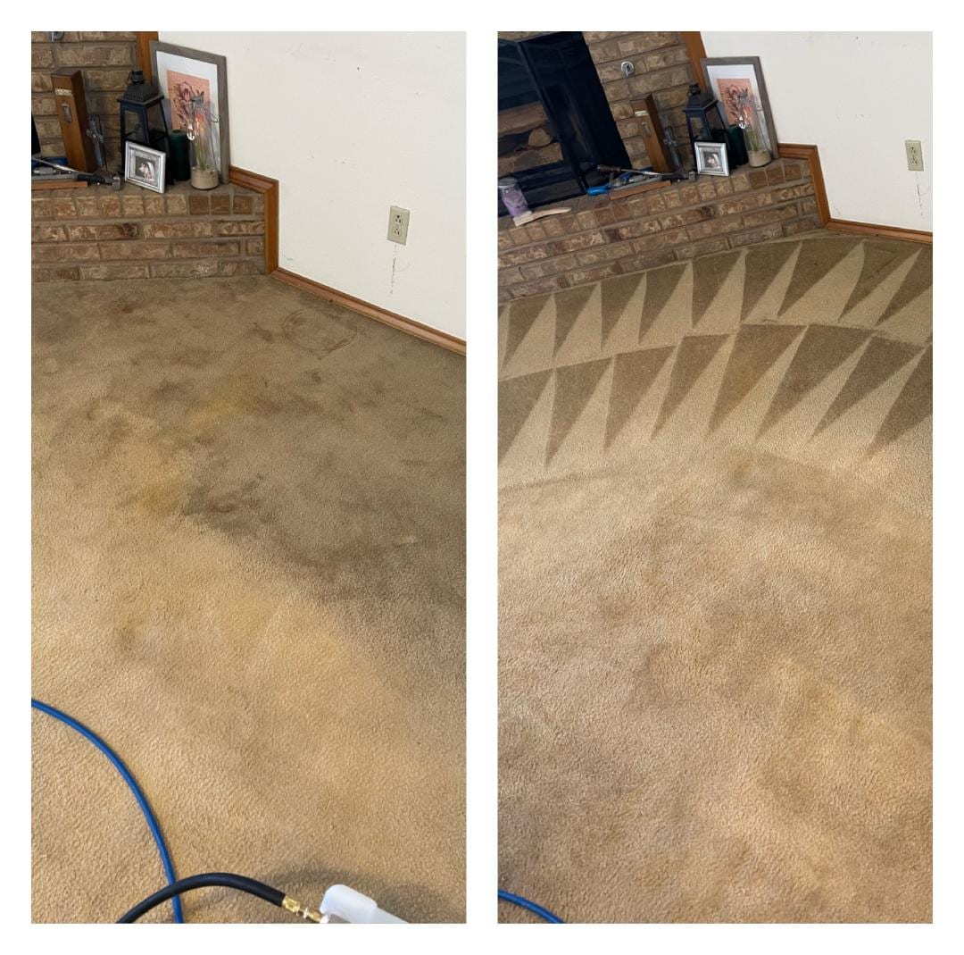Carpet Shield