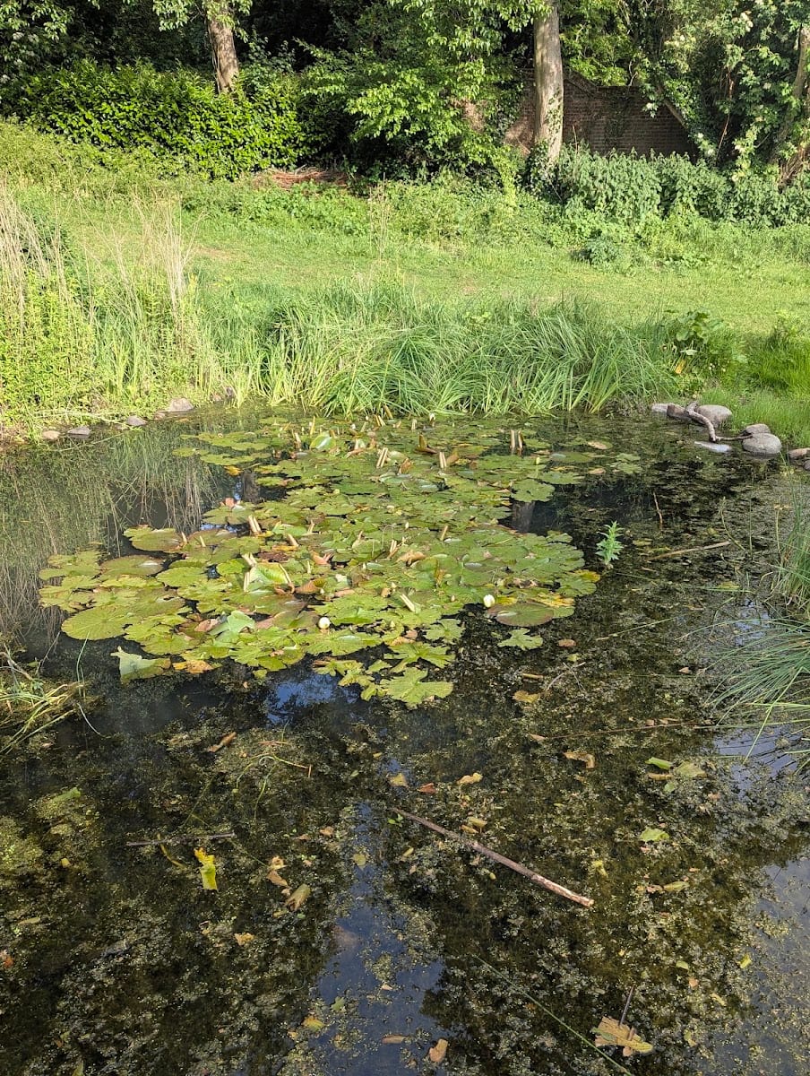 Lydekker Park, photo 2