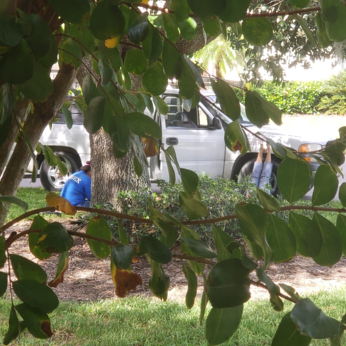 Ambex Landscape Maintenance