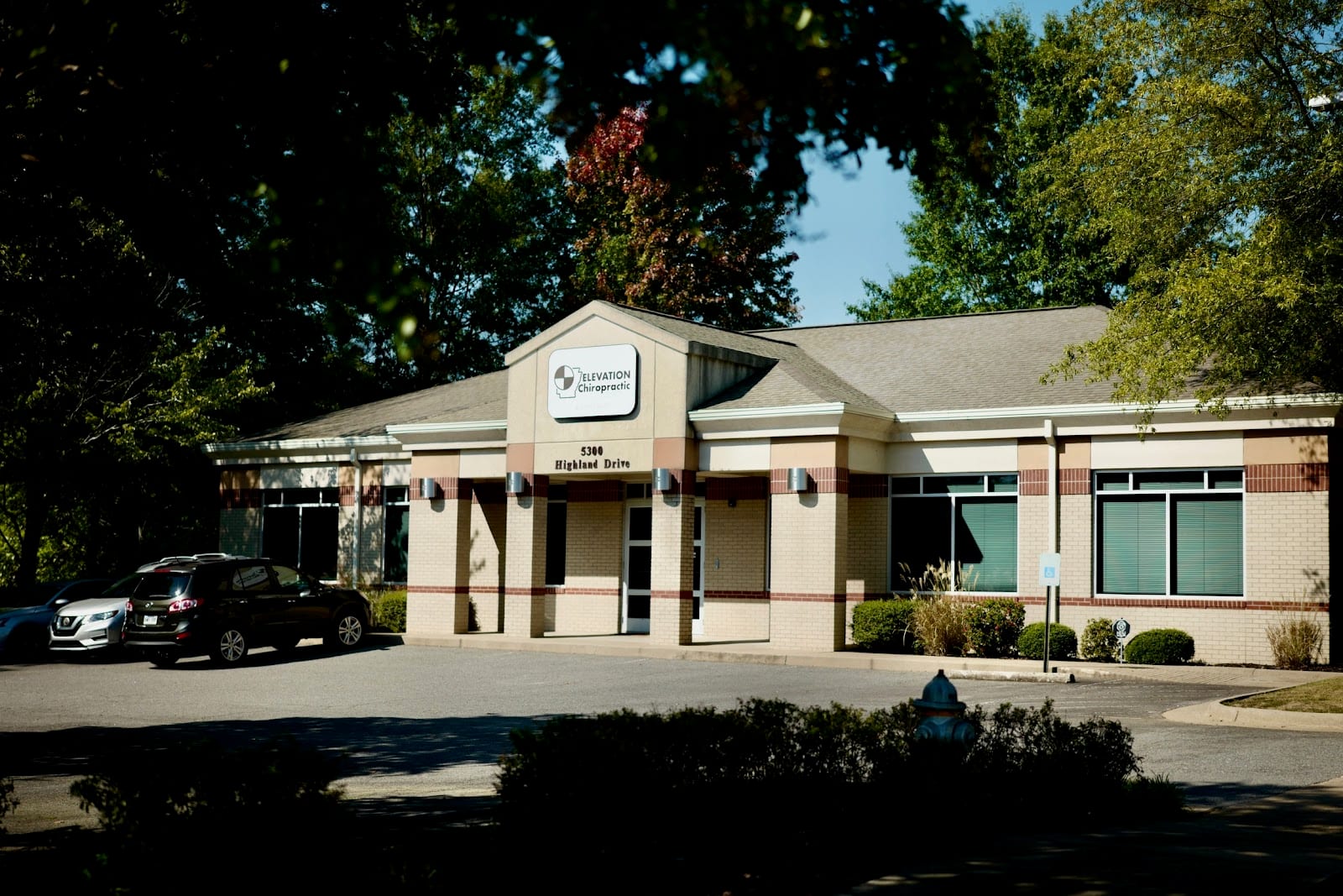 Elevation Chiropractic