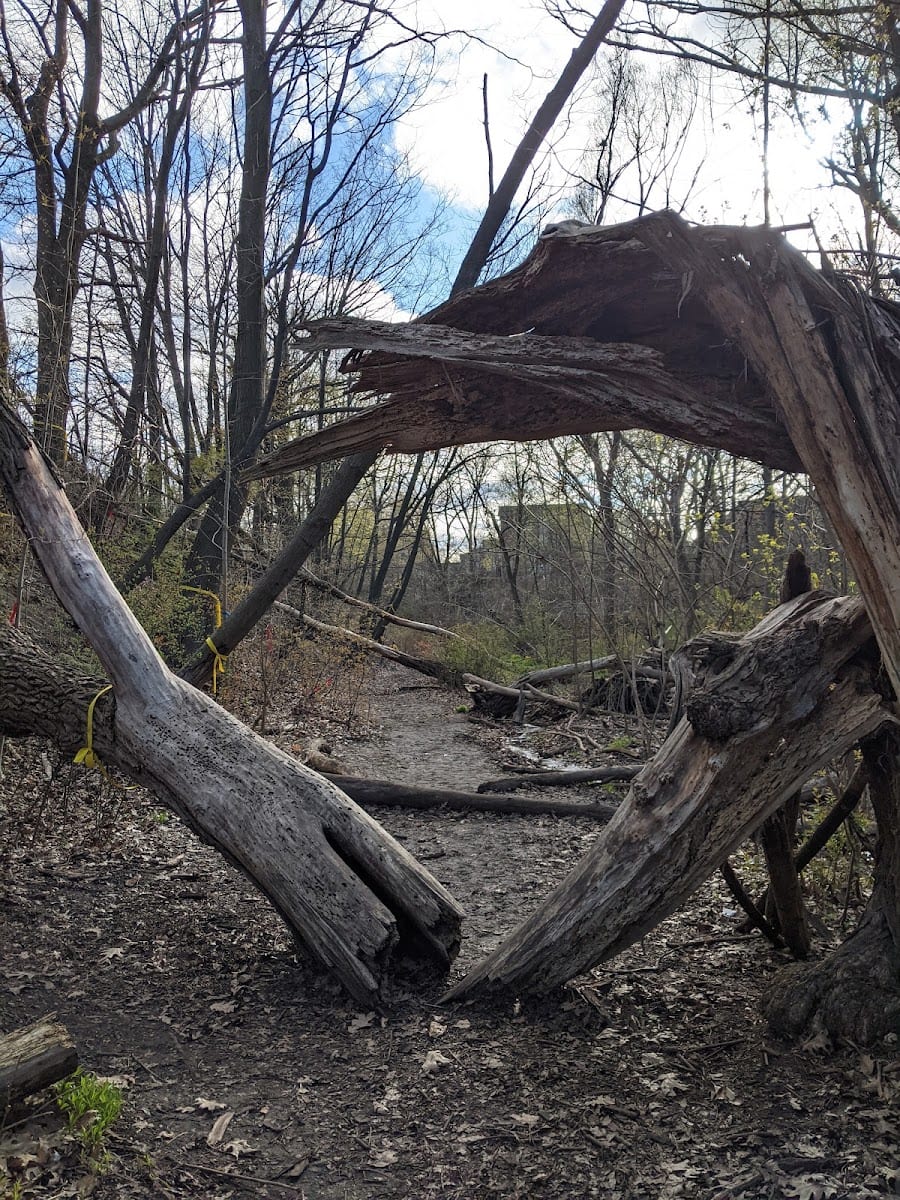 Merrill Bridge Road Park, photo 3