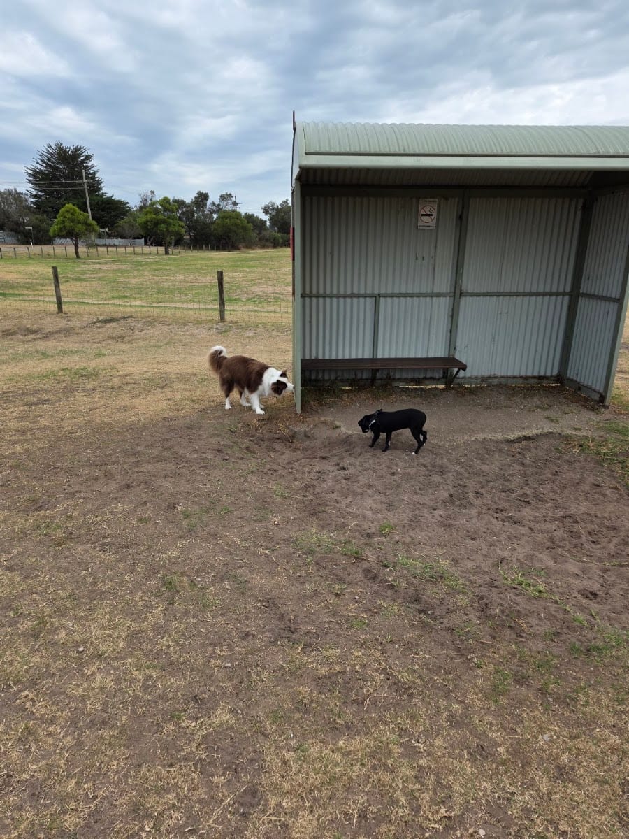 Vern Wright Reserve Fenced Dog Park
