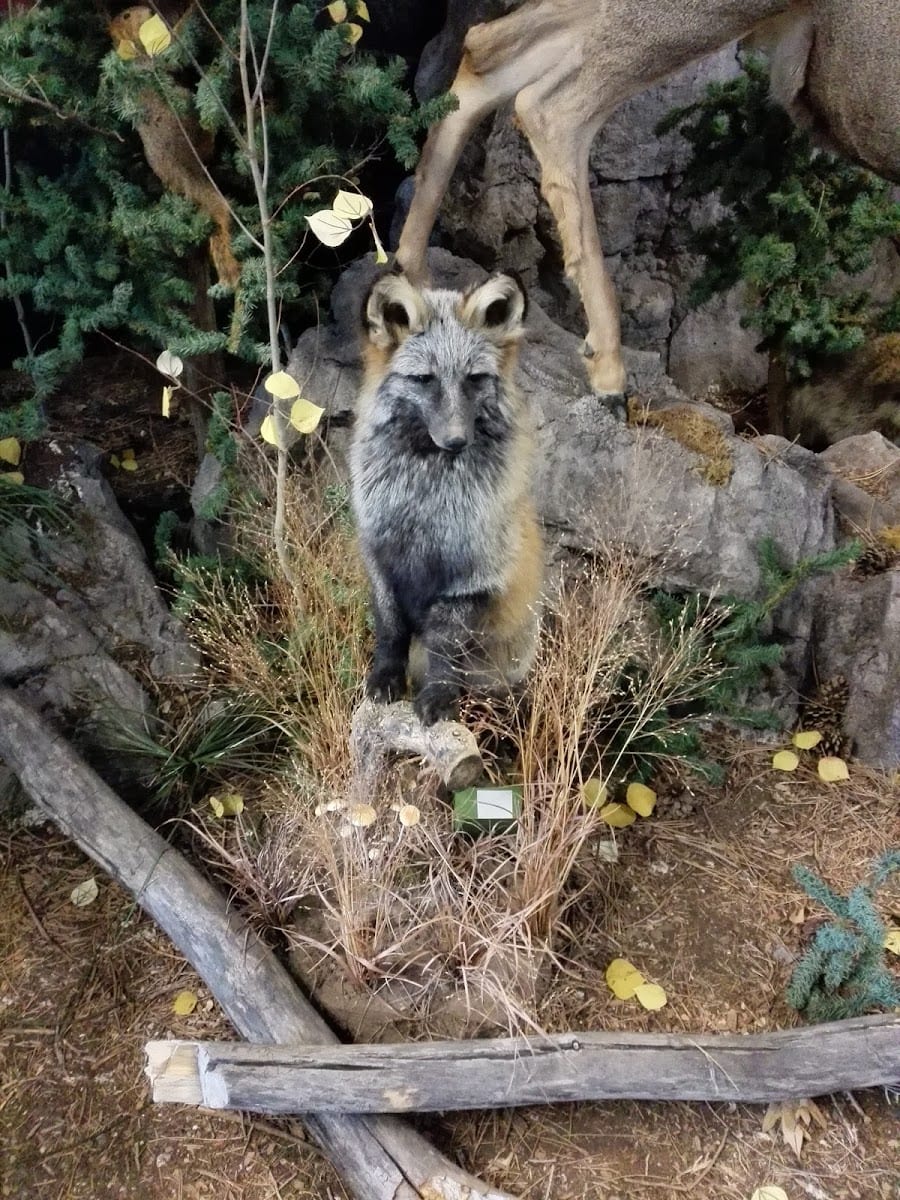 Garth & Jerri Frehner Museum of Natural History
