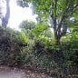 Dan Hoyte / Garden + Landscape Design