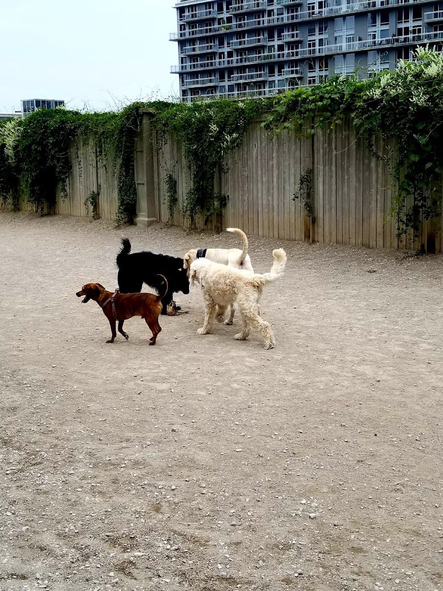 Liberty Village Dog Park