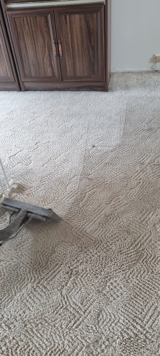 Dial a Carpet Cleaner & Pest Control