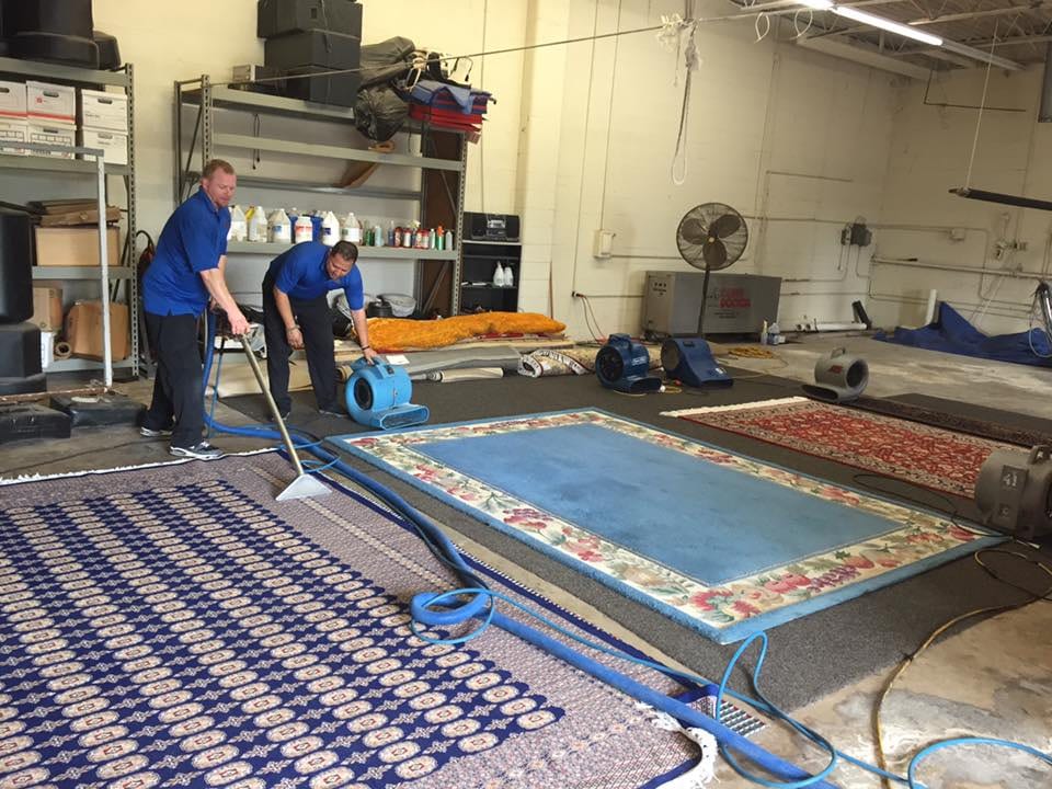 DynaClean Professional Services