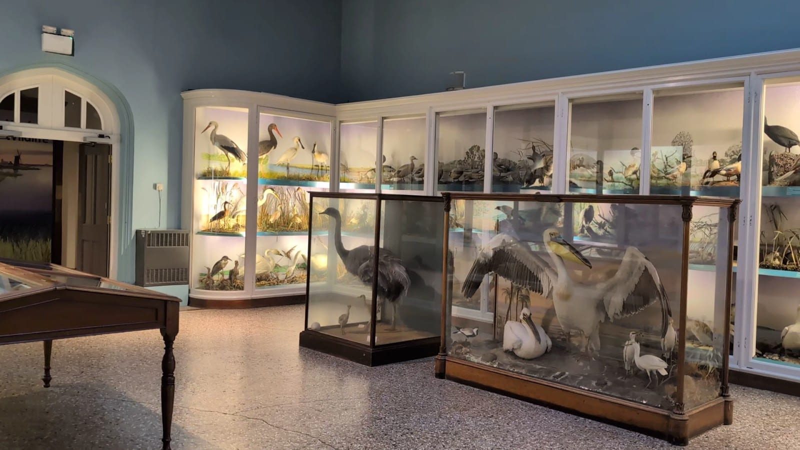 Norfolk Wildlife Gallery, photo 2