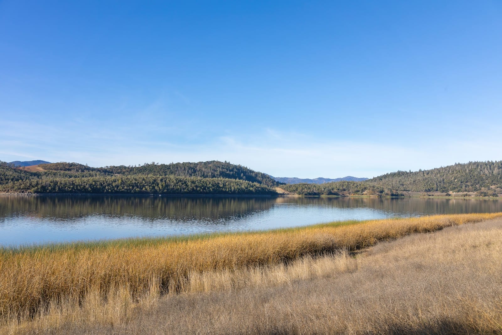 Shoreline Trailhead, photo 2
