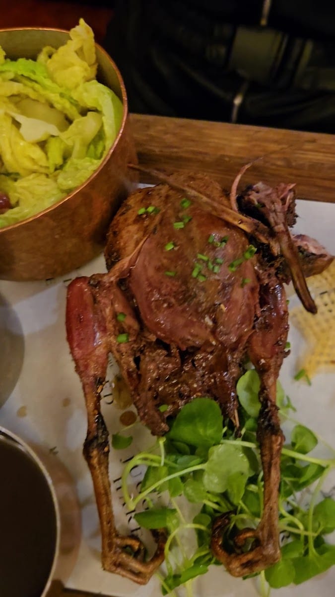 Jugged Hare, photo 2