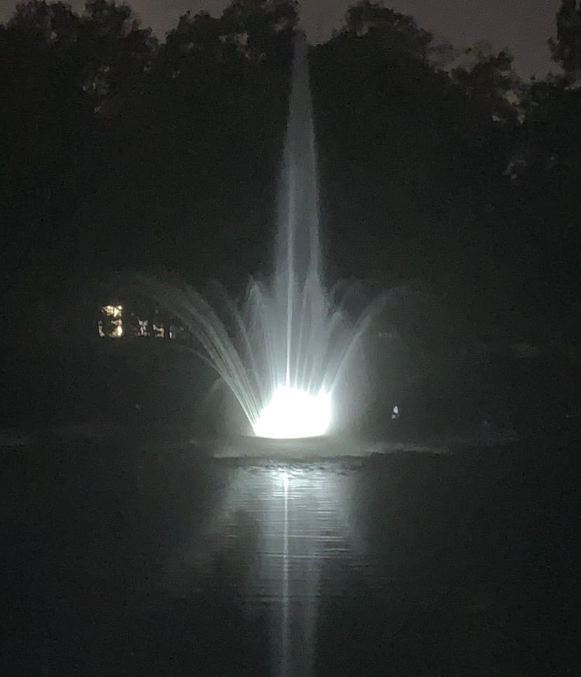 Herbert D. Carrington Sr. Community Lake, photo 3