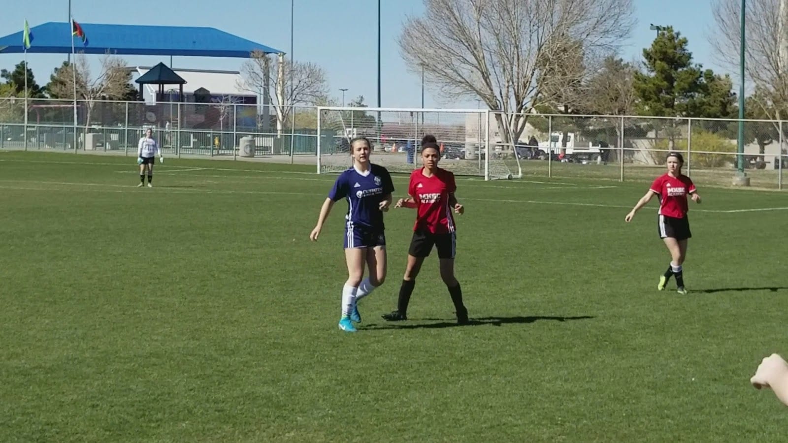 Bettye Wilson Soccer Complex, photo 2
