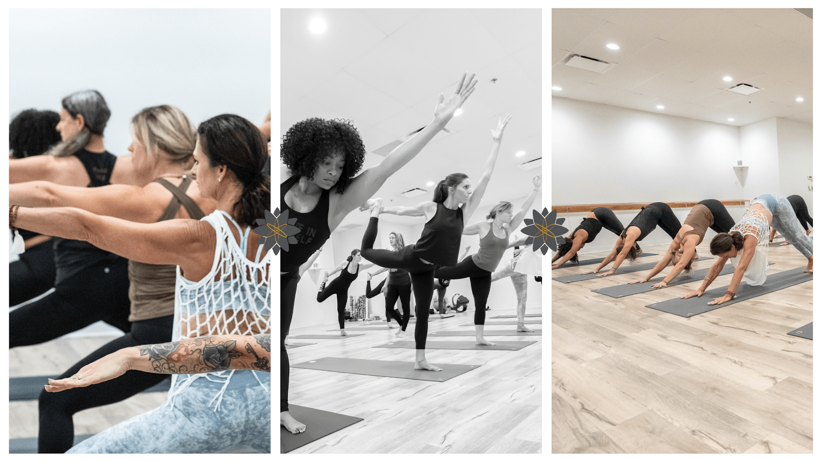 Fusion Yoga, photo 2