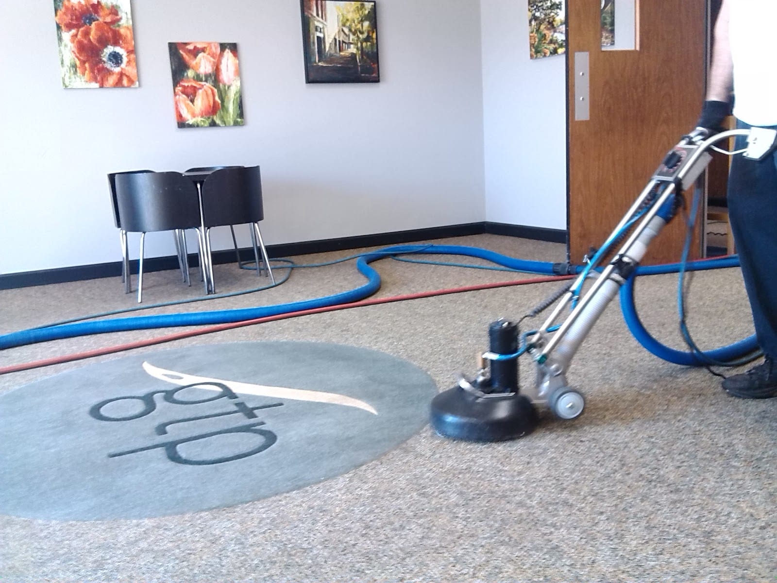 Double M Carpet Clean, photo 4