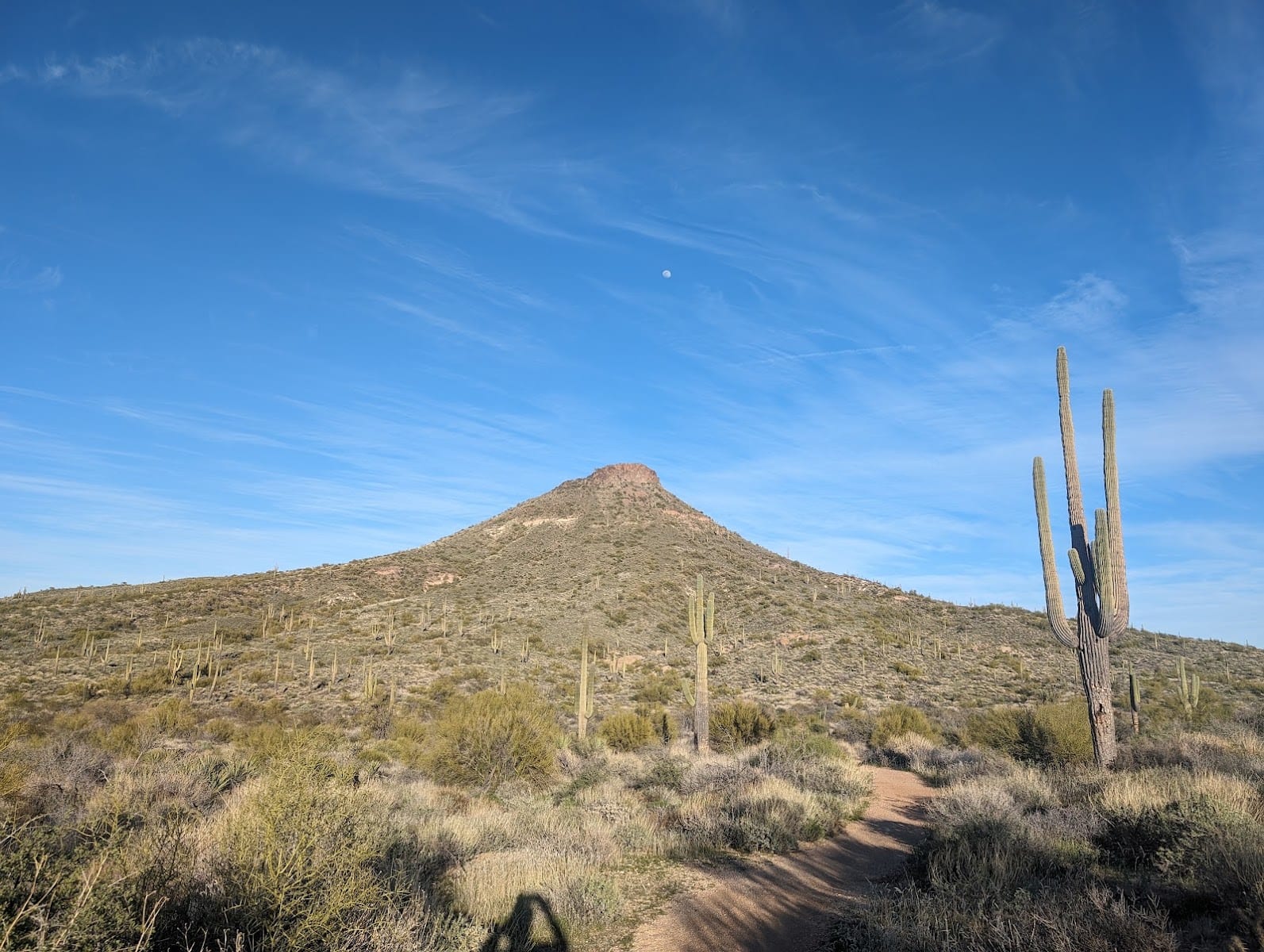 Brown's Mountain