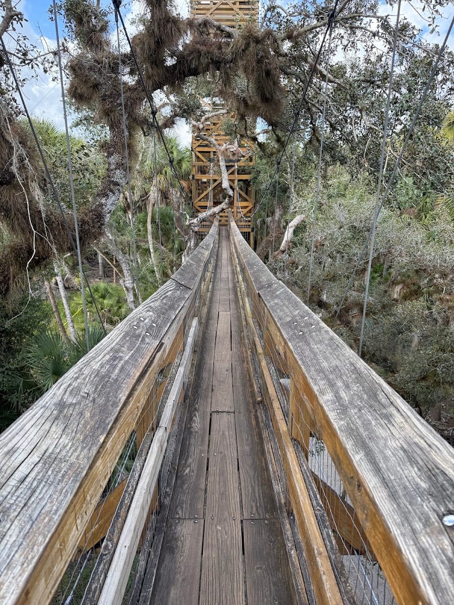 Myakka Canopy bridge/hiking trail parking lot and trail head