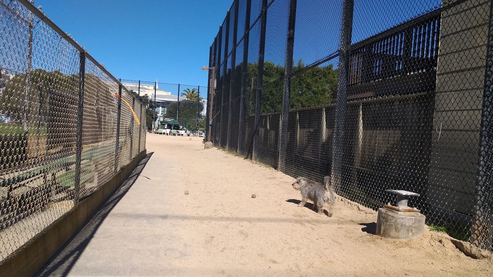 Upper Noe Dog Play Area