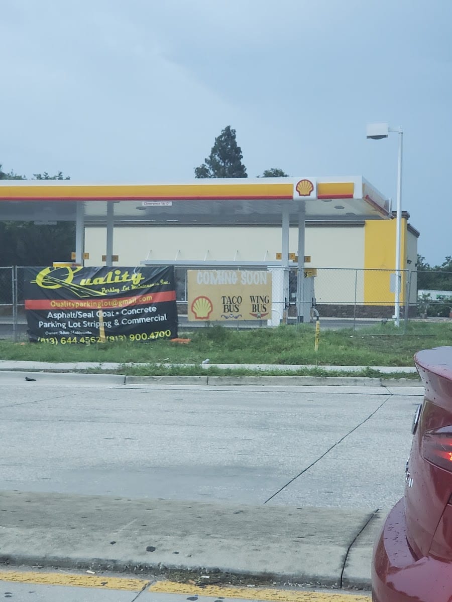 Shell, photo 3