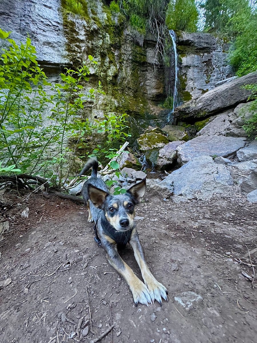 Richards Hollow Falls