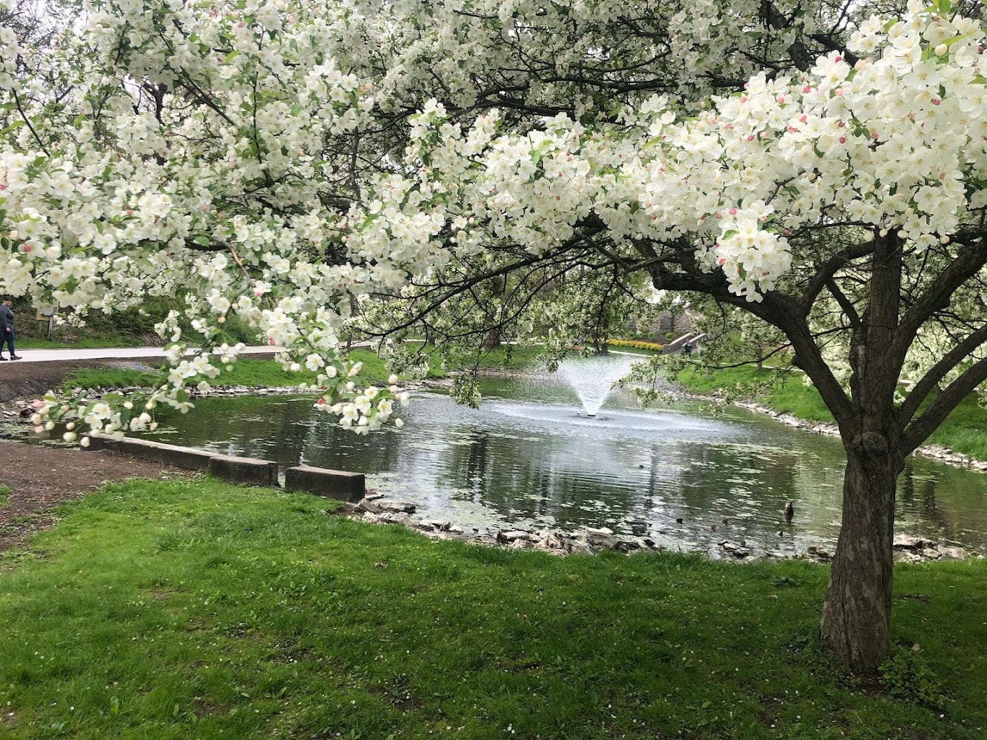 Putnam Pond, photo 3