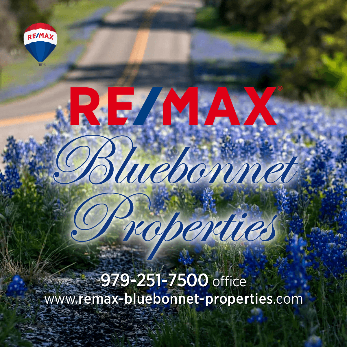 RE/MAX Bluebonnet Properties, photo 2
