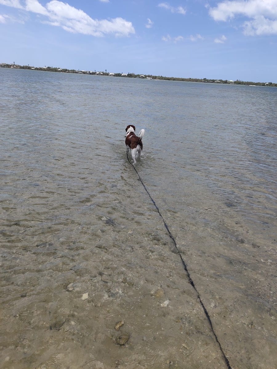 Indian mound dog park