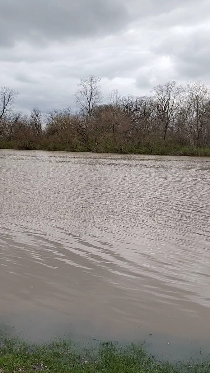 Shadyside Lake Activity Center, photo 2