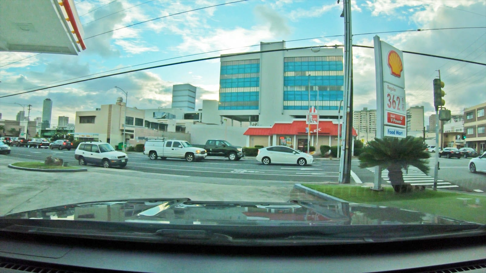 Shell, photo 3