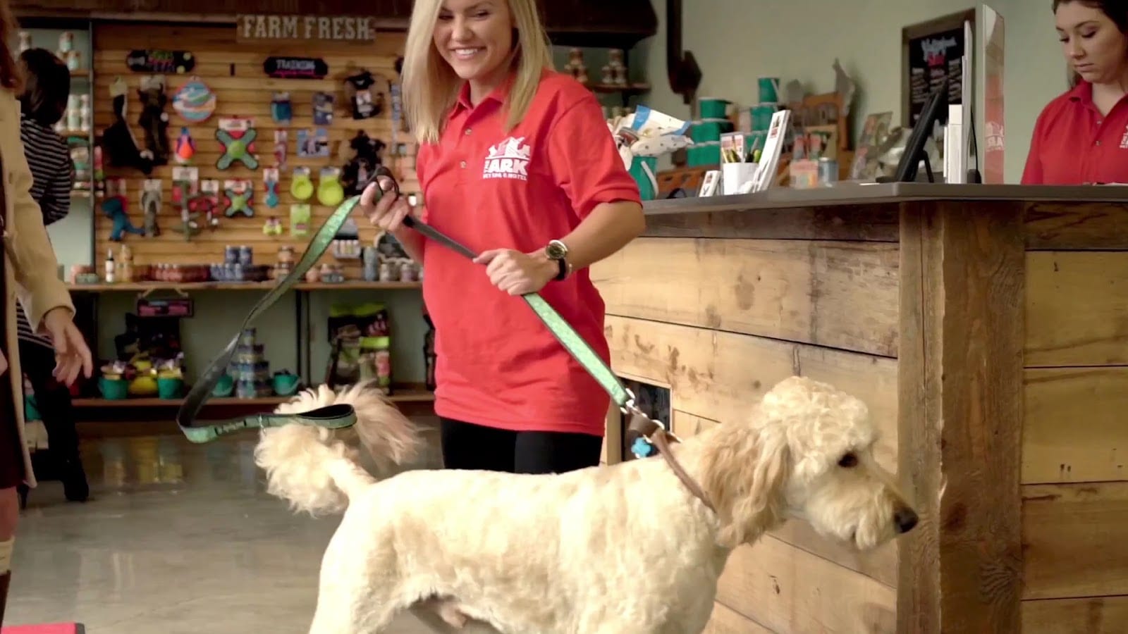 The Ark Pet Spa & Hotel - Madison, photo 3