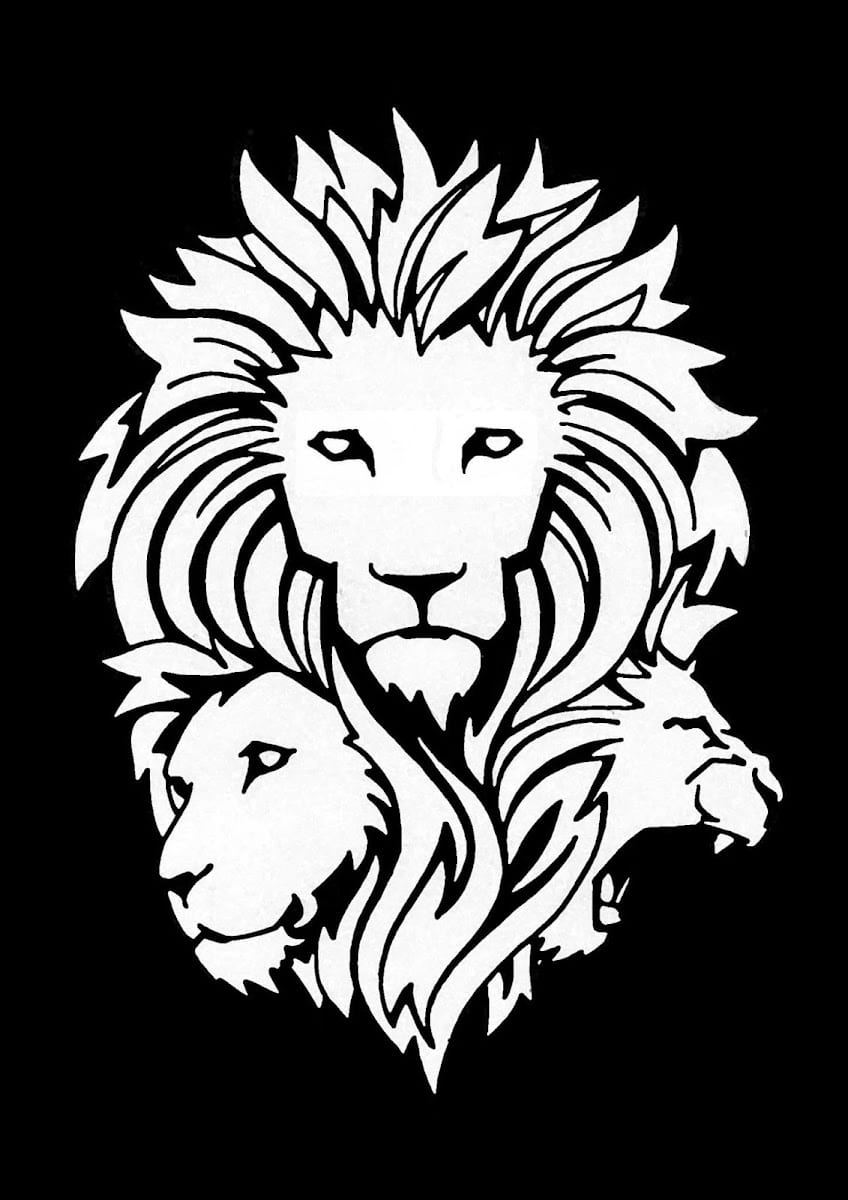 The Lions Institute, photo 3