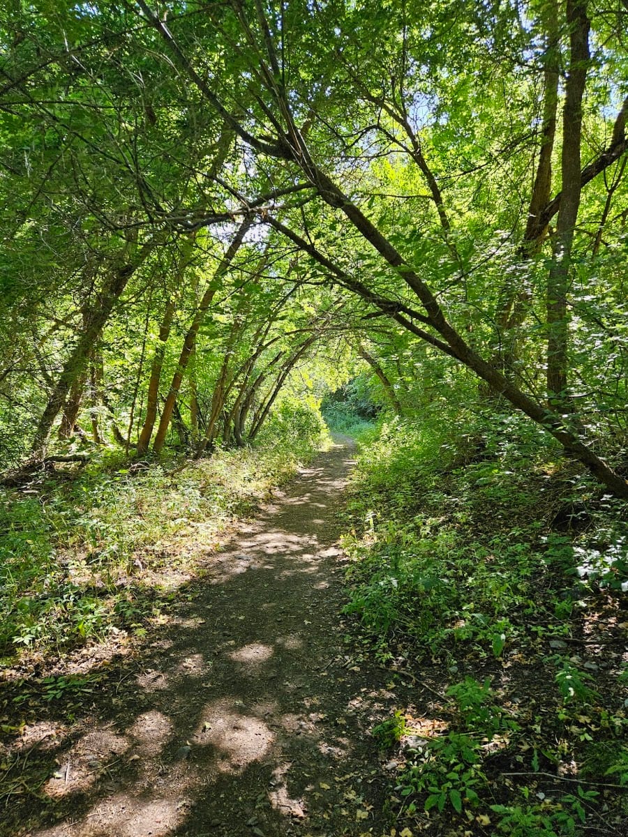 Rotary Park, photo 4