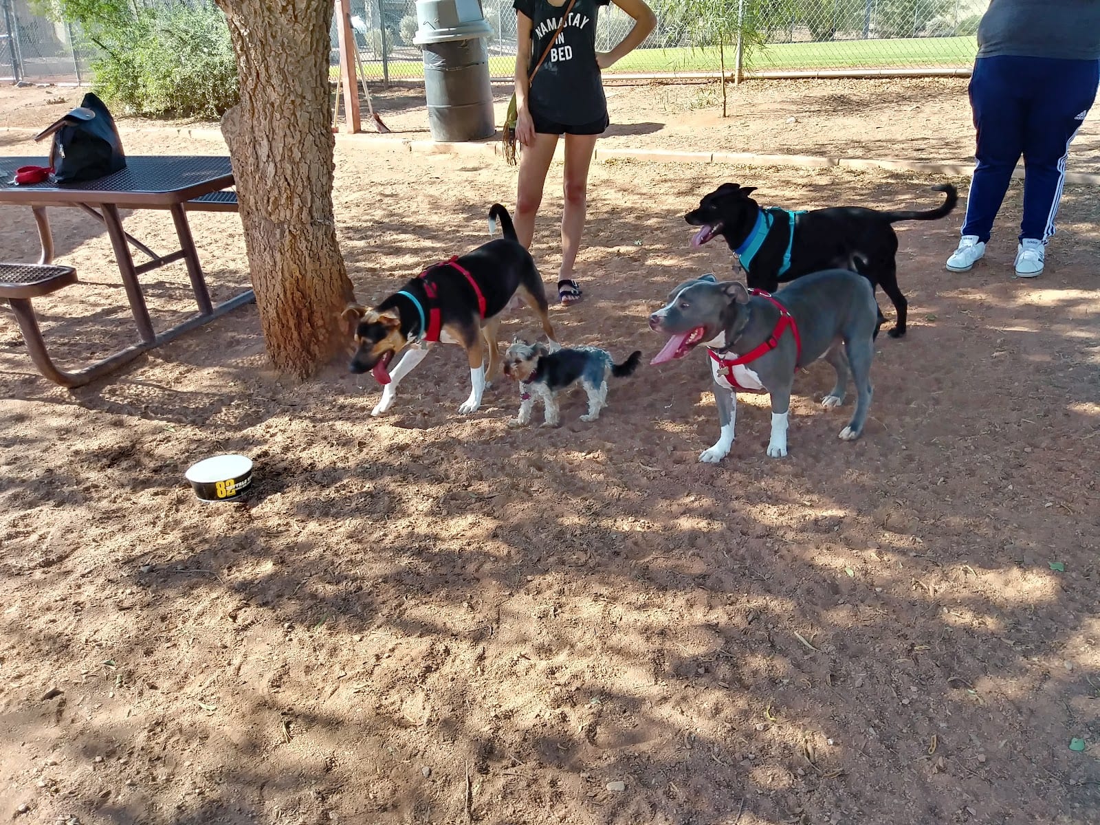 Horizon Dog Park