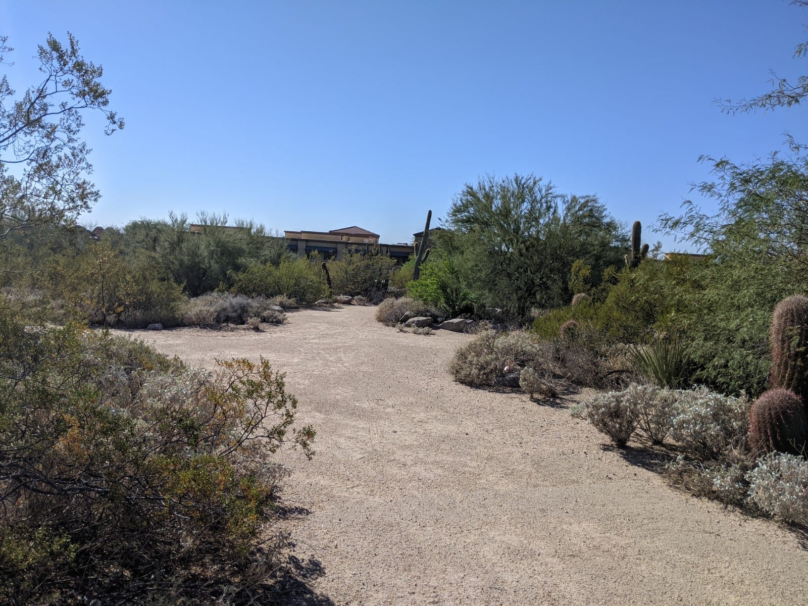 Florence Ely Nelson Desert Park, photo 2