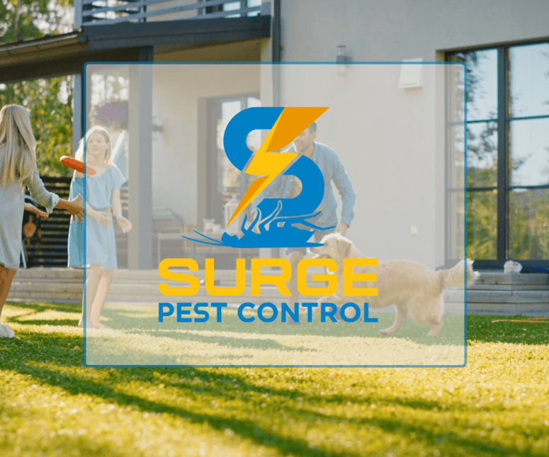 Surge Pest Control Leander, photo 2
