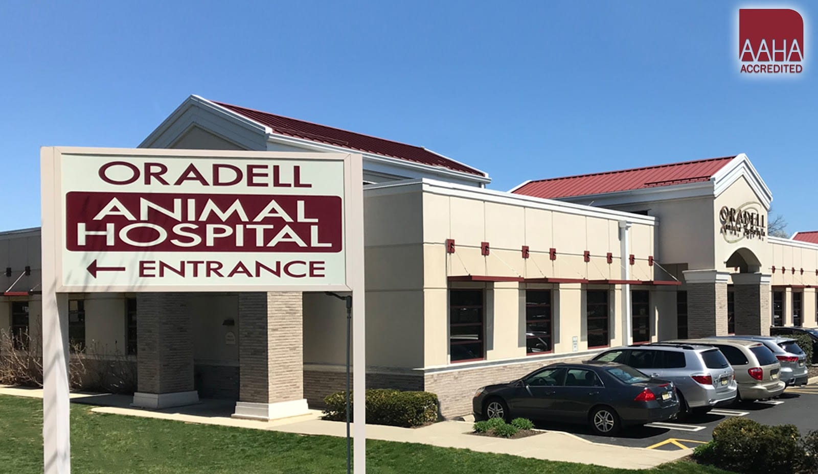 Oradell Animal Hospital - Paramus, photo 2