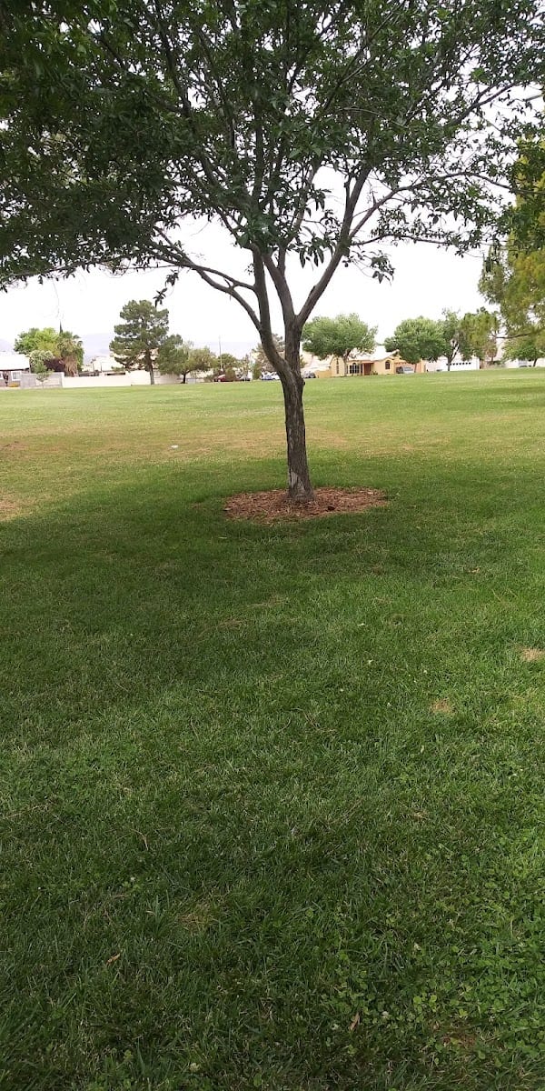 Coleman Park