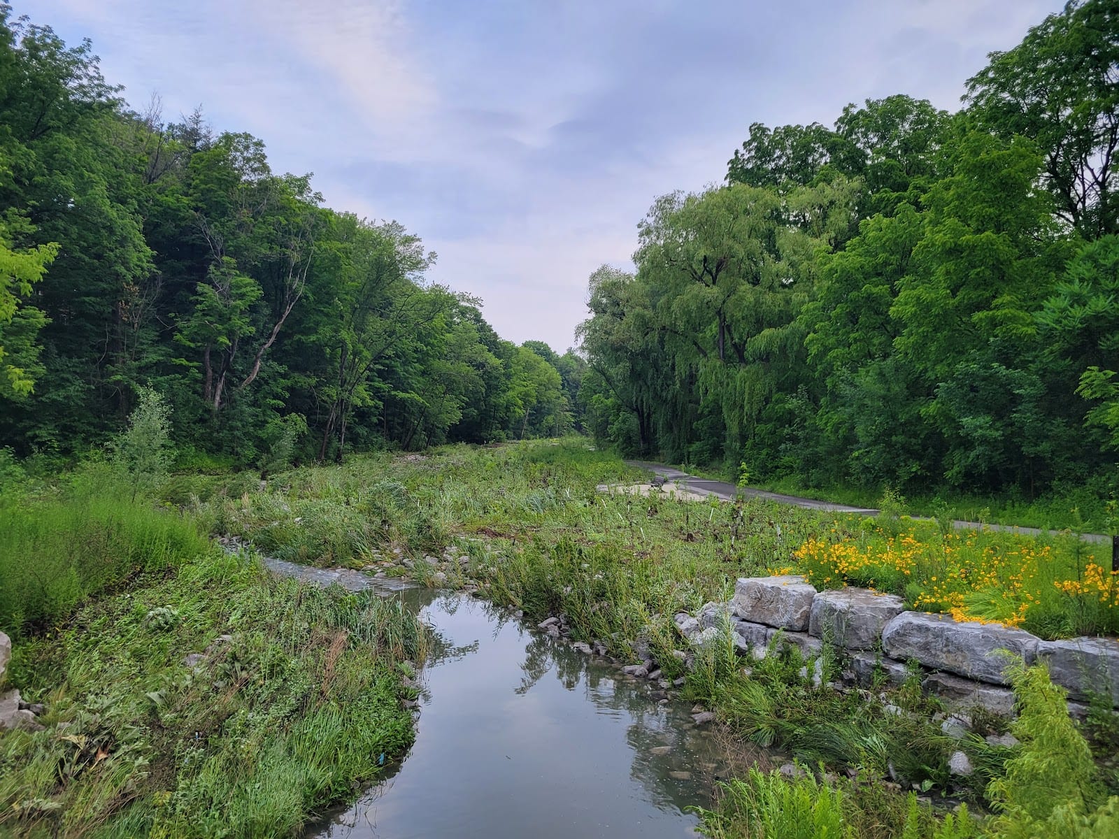 Duncan Creek Park