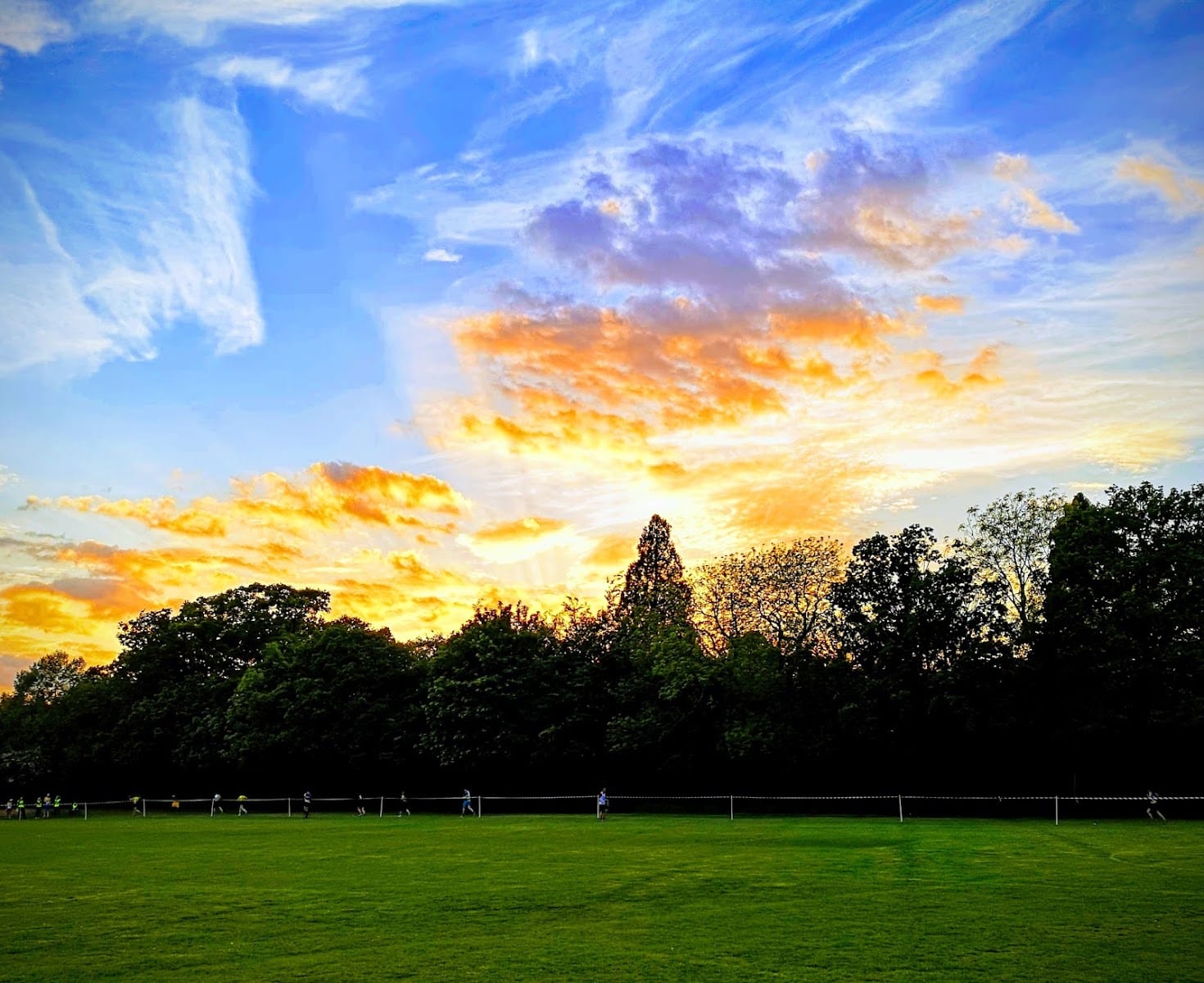 Highfield Park