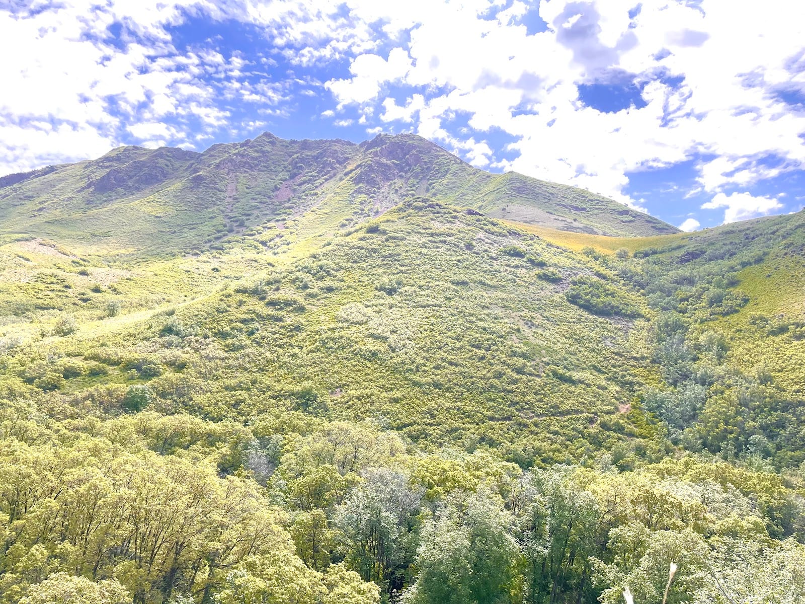 Red Butte Canyon Overlook Trail