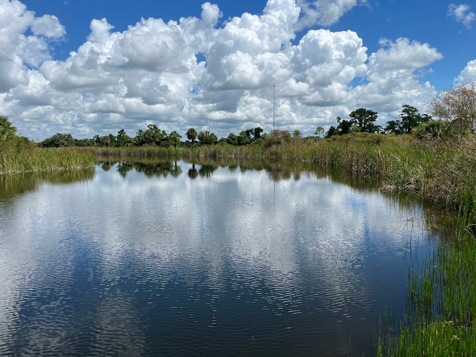 Scherer Thaxton Preserve