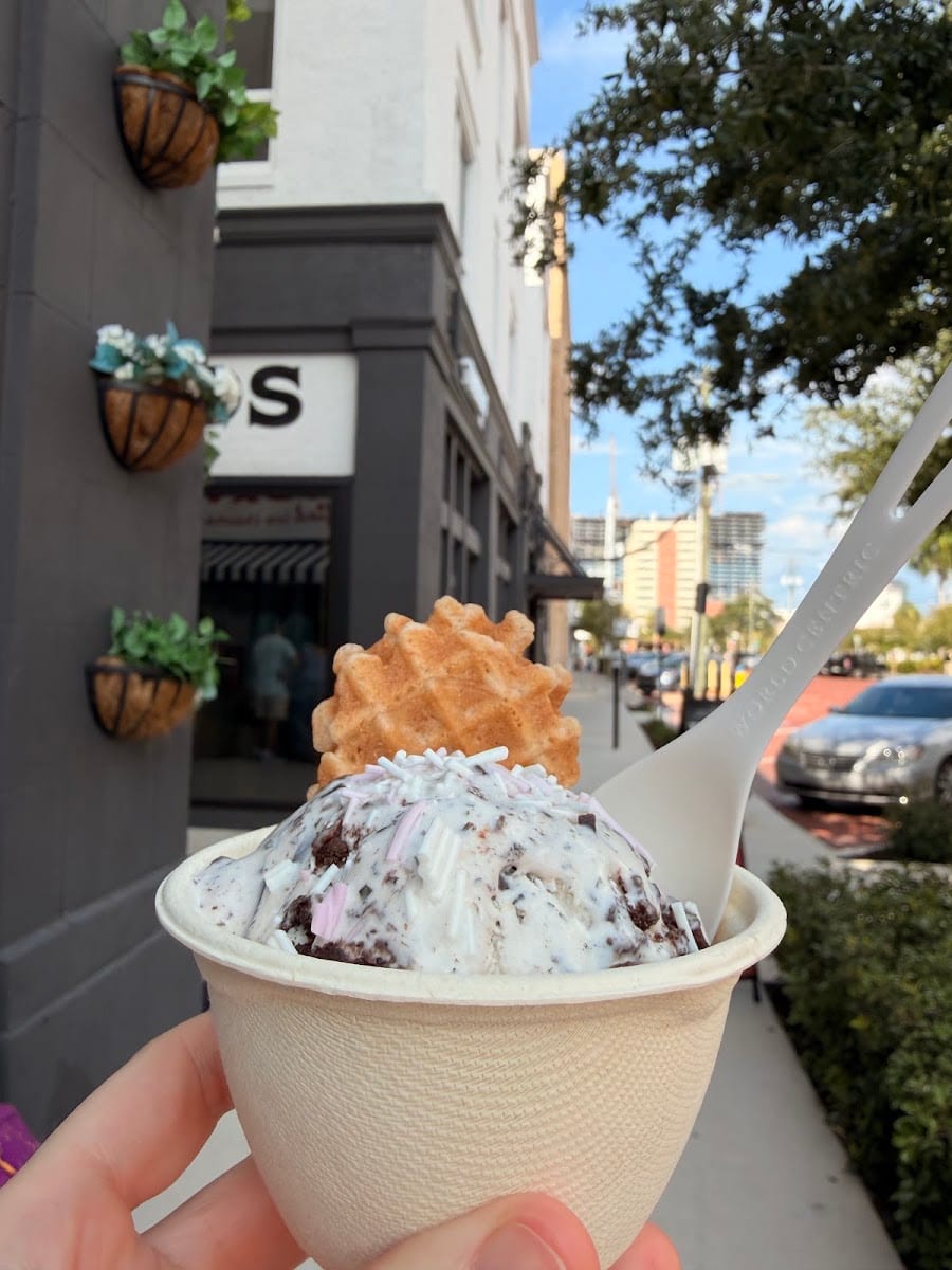 Mayday Handcrafted Ice Cream Tampa, photo 4