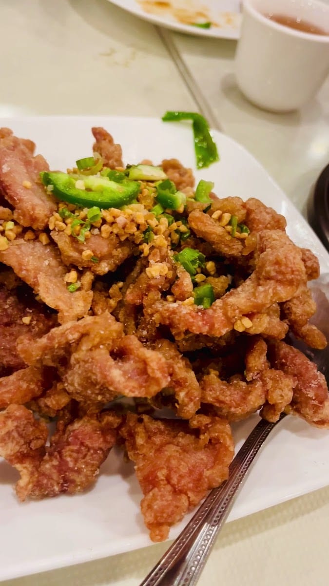 Szechuan Taste Restaurant 长江, photo 2