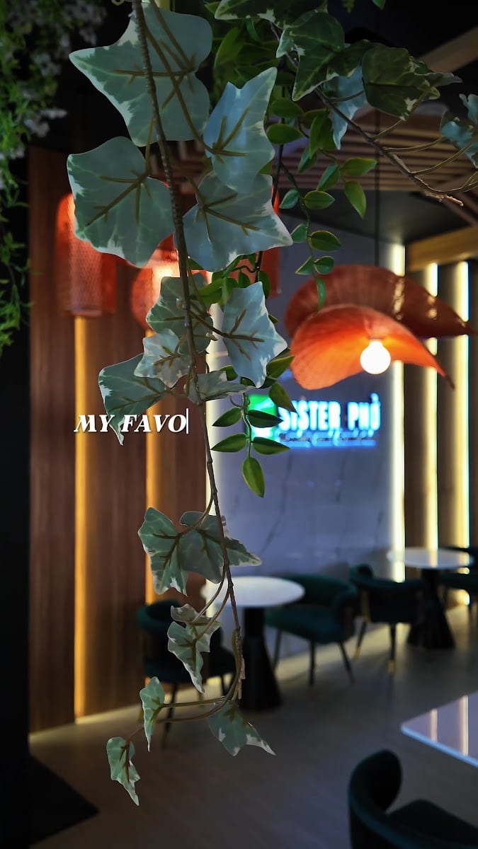 Sister Pho | Vietnamese Restaurant, photo 3
