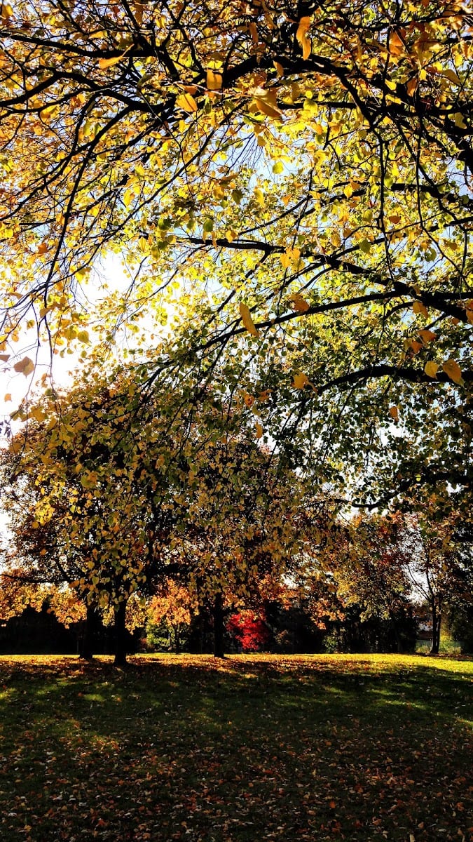 Lescon Park, photo 3