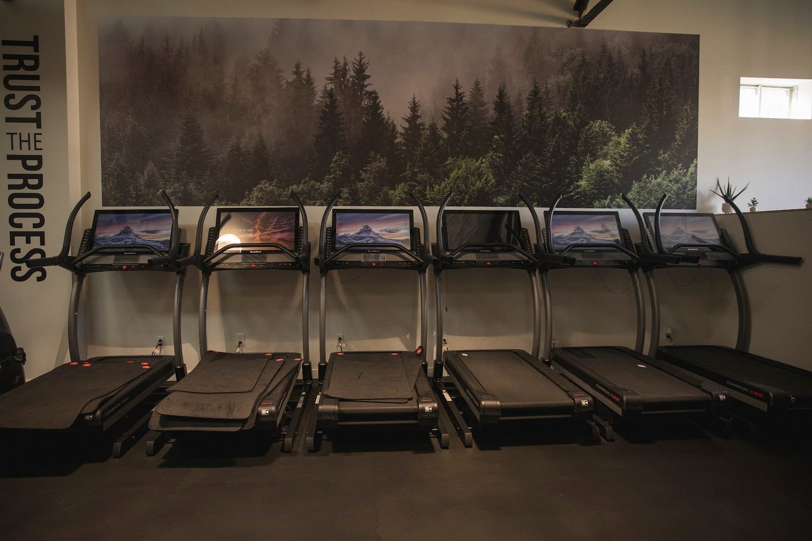 The Open Gym, photo 2