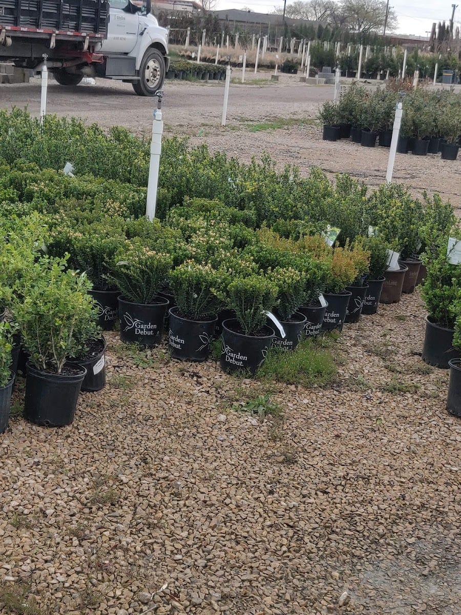 SiteOne Landscape Supply, photo 3