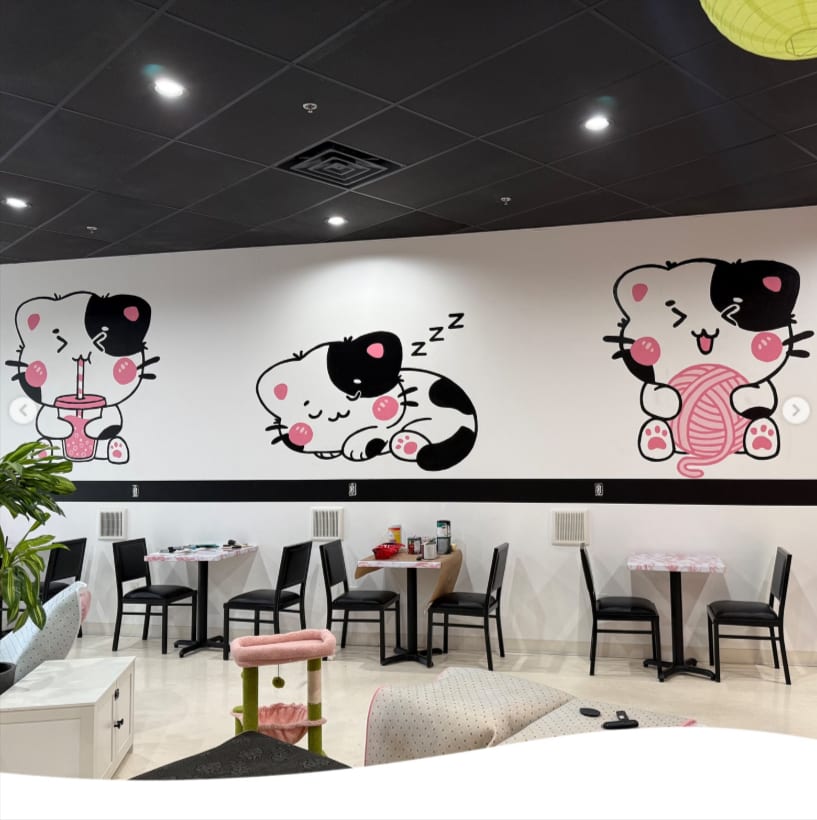 The Bubble Cat Cafe, photo 2
