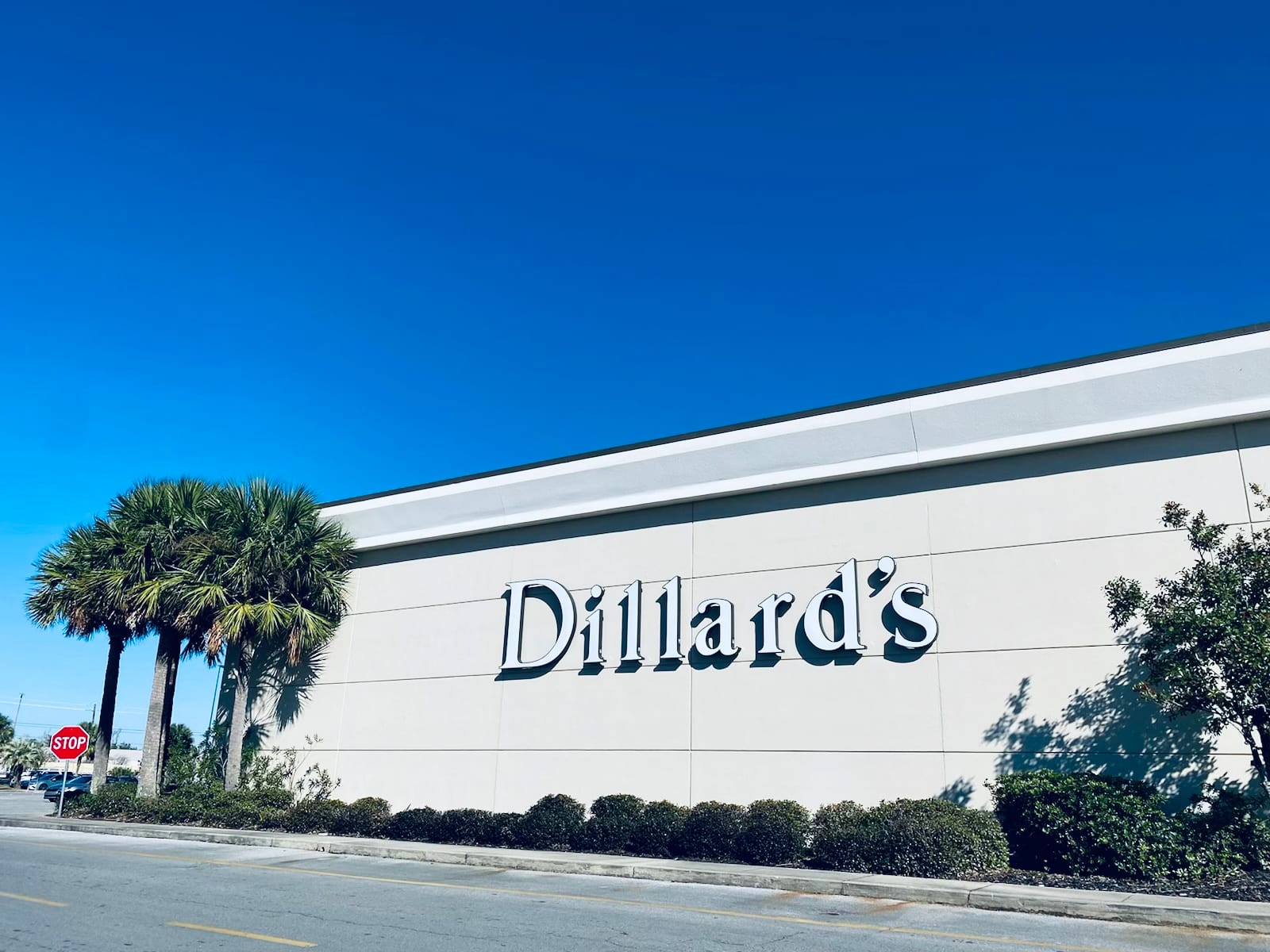 Dillard's, photo 2